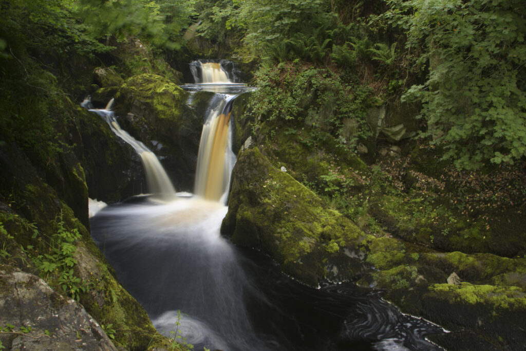 ENGLAND, Yorkshire, Yorkshire Dales National Park. The fast flowing Pecca twin falls waterfalls running through woodland, near Ingleton.