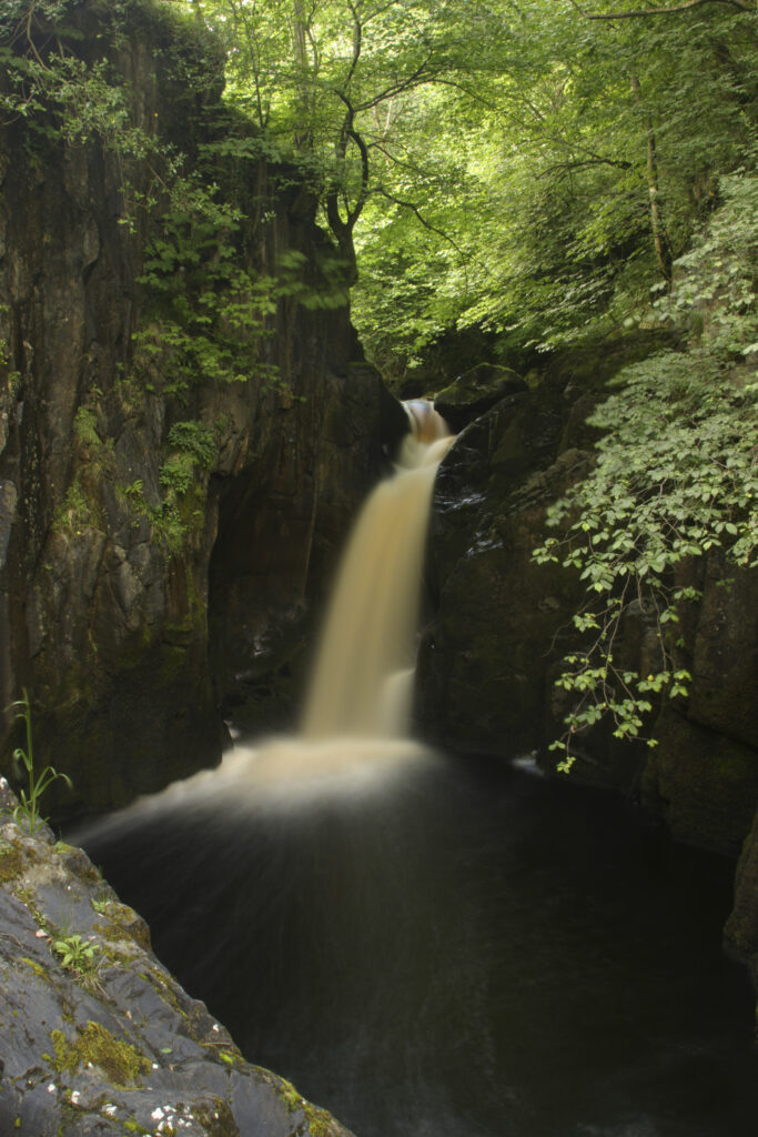 ENGLAND, Yorkshire, Yorkshire Dales National Park. The fast flowing Hollybush Spout waterfall, near Ingleton.