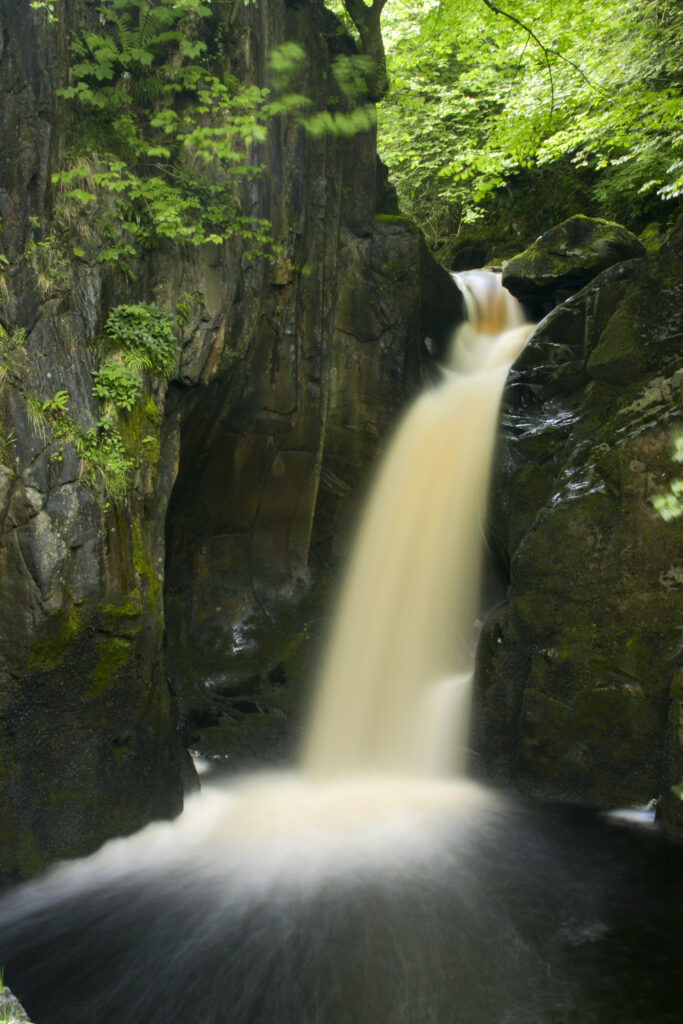 ENGLAND, Yorkshire, Yorkshire Dales National Park. The fast flowing Hollybush Spout waterfall, near Ingleton.