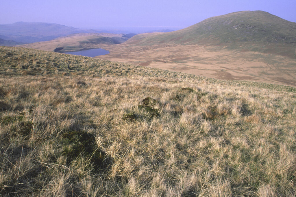 ENGLAND, Cumbria, Lake District National Park. Early morning light illuminates the hill side of lower scafell