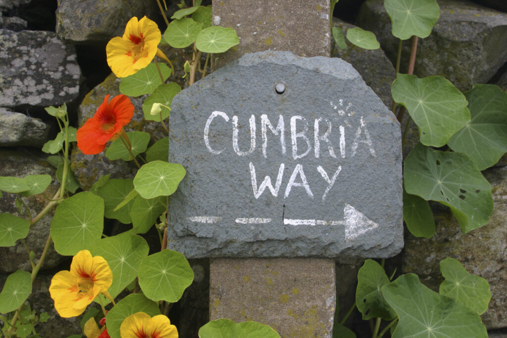 England, Cumbria, Gawthwaite. Nasturtium and other flowers grow next to Cumbria Way sign and dry stone wall on Lake District National Park Boundary.