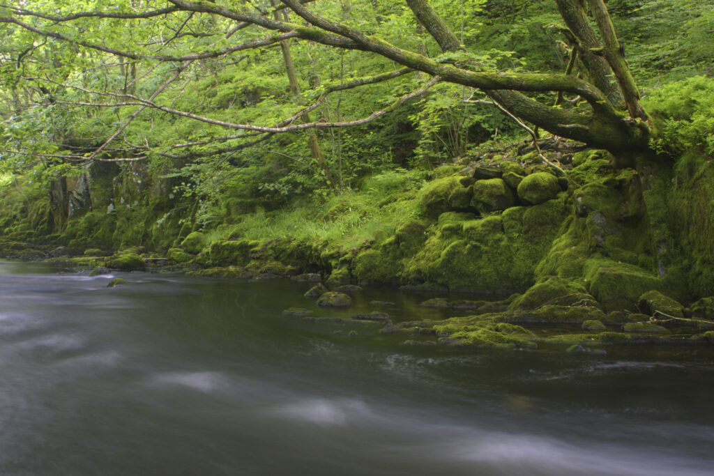 ENGLAND, Cumbria, Lake District National Park. The fast flowing waters to be found upstream of Skelwith Force, near Skelwith Bridge, on the Cumbria Way.