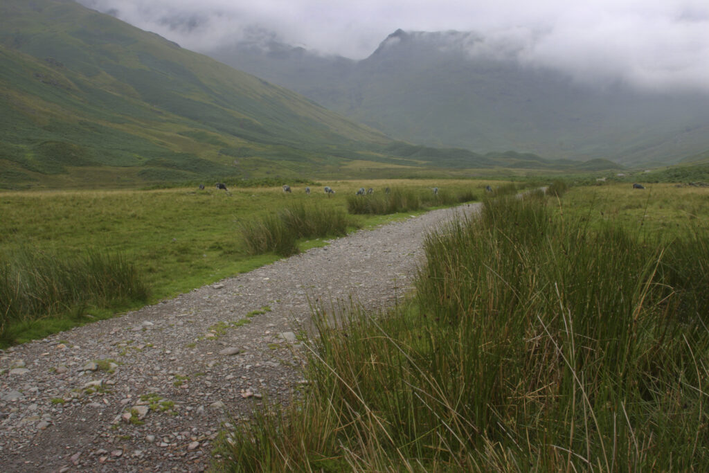 ENGLAND, Cumbria, Lake District National Park. The well formed Cumbria Way track running near Langdale towards Stake Pass.