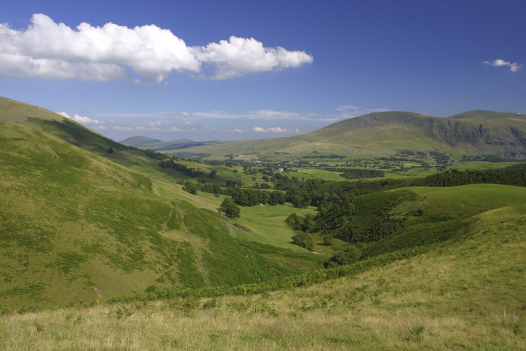 ENGLAND, Cumbria, Lake District National Park. The summer colours of the mountains and fields surrounding Keswick, viewed from lower Lonscale on the Cumbria Way.
