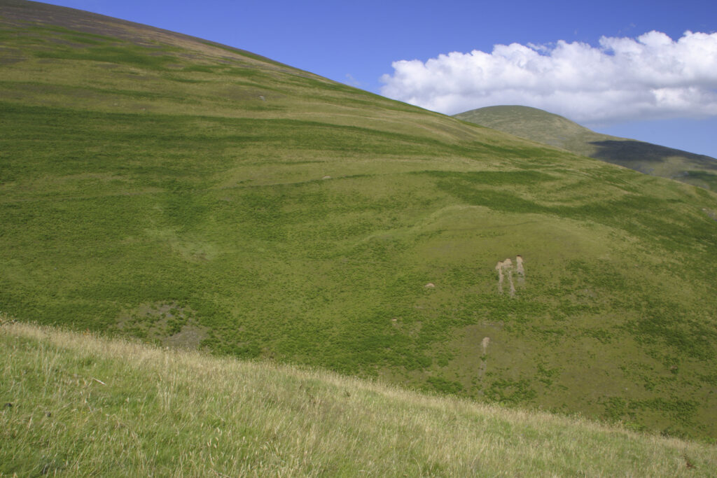 ENGLAND, Cumbria, Lake District National Park. View looking from the Cumbria Way running along lower Lonscale towards Blease Fell