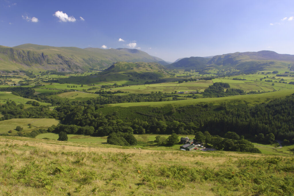 ENGLAND, Cumbria, Lake District National Park. The summer colours of the mountains and fields surrounding Keswick, viewed from lower Lonscale on the Cumbria Way.