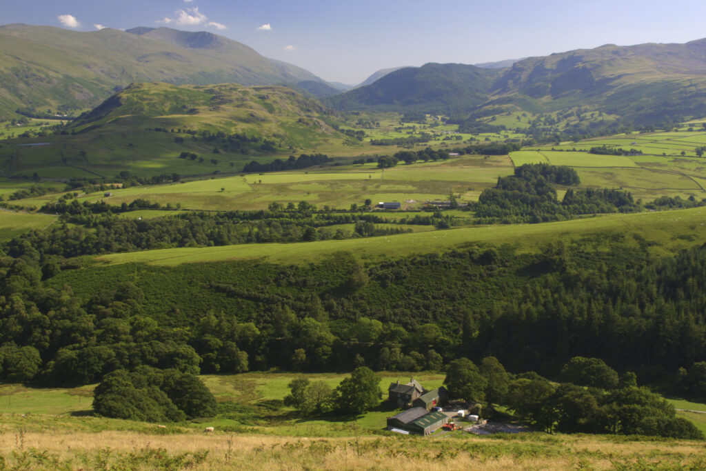 ENGLAND, Cumbria, Lake District National Park. The summer colours of the mountains and fields surrounding Keswick, viewed from lower Lonscale on the Cumbria Way.