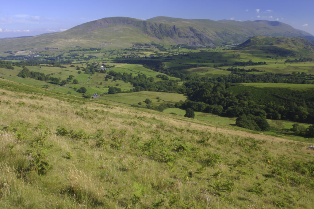 ENGLAND, Cumbria, Lake District National Park. The summer colours of the mountains and fields surrounding Keswick, viewed from lower Lonscale on the Cumbria Way.