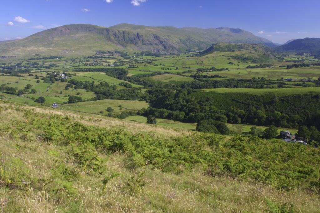ENGLAND, Cumbria, Lake District National Park. The summer colours of the mountains and fields surrounding Keswick, viewed from lower Lonscale on the Cumbria Way.