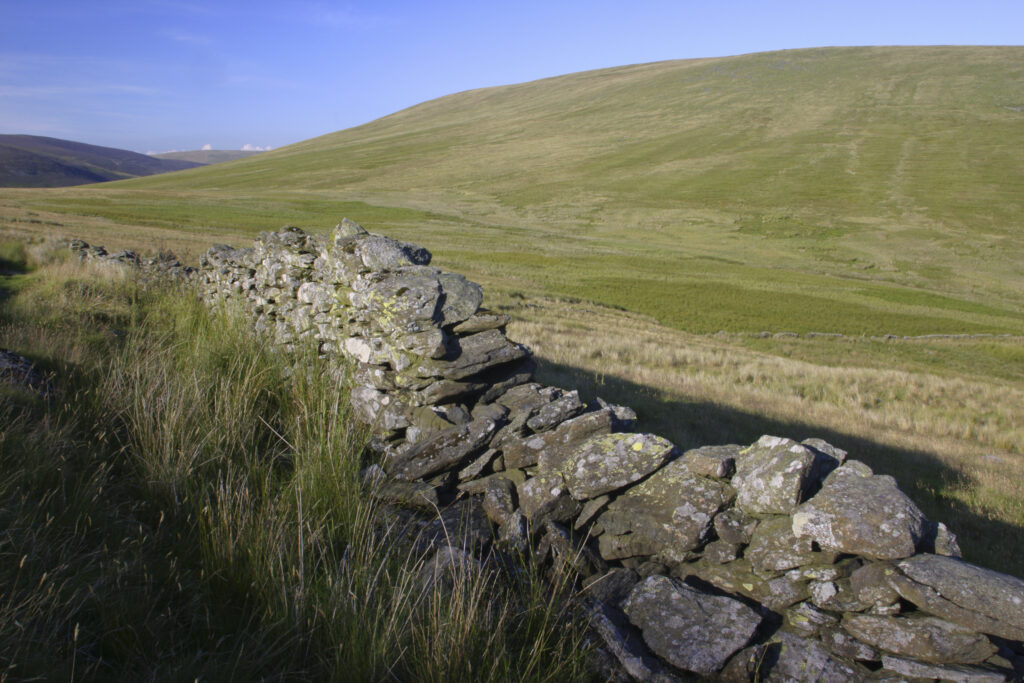 ENGLAND, Cumbria, Lake District National Park. Wall running along the slopes of the valley between Lonscale and blease fell