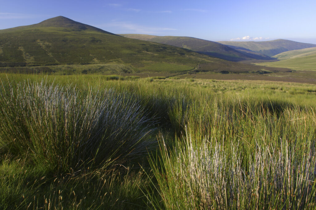 ENGLAND, Cumbria, Lake District National Park. View looking from Cumbria Way track near Skiddaw House towards Great Calva.