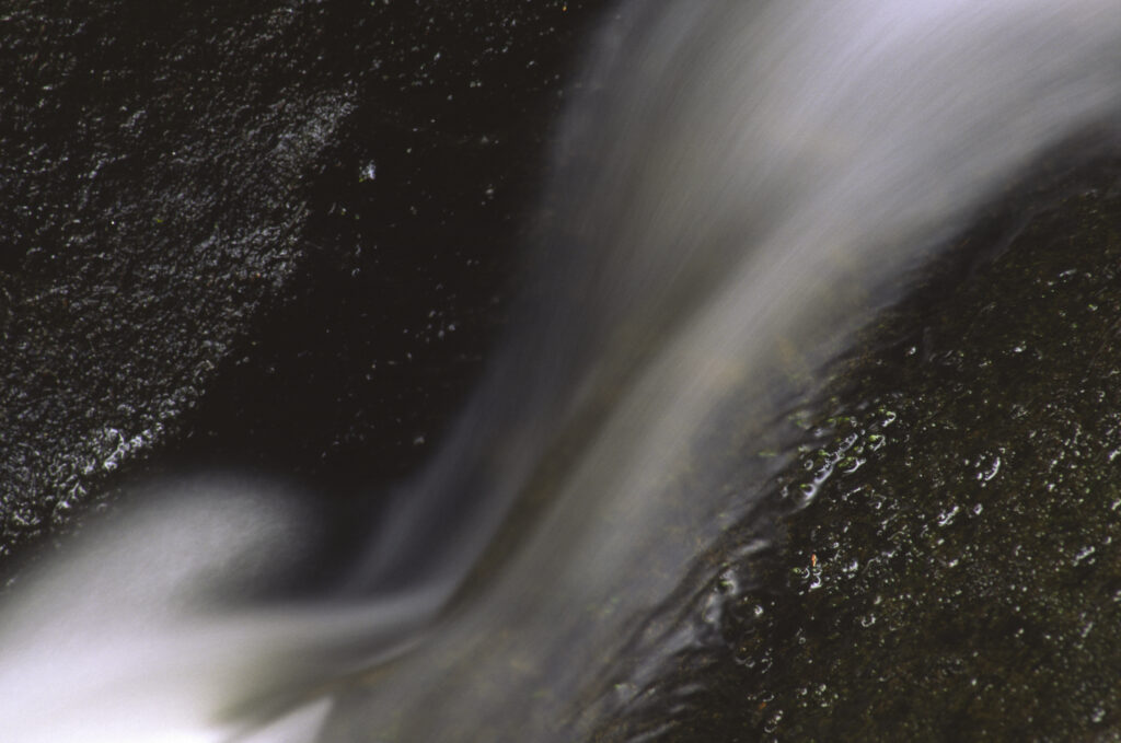 ENGLAND, Northumberland, Rothbury. A small stream flowing through woodland