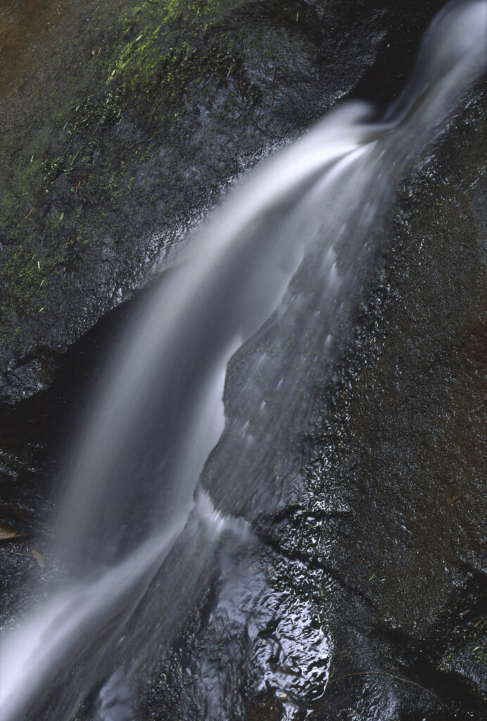 ENGLAND, Northumberland, Rothbury. A small stream flowing through woodland