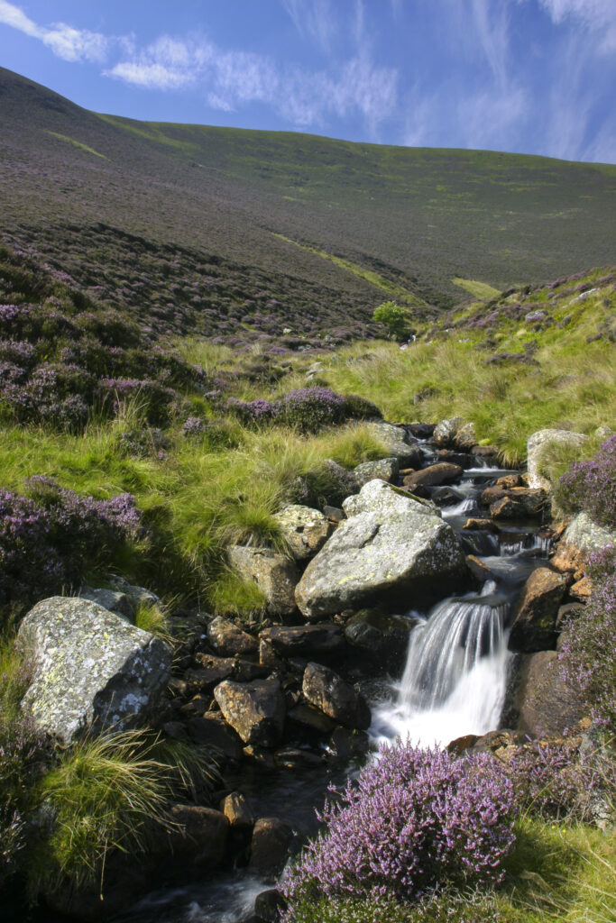 ENGLAND Cumbria Lake District National Park Grainsgill Beck running down the moorland of Lingy Hill on the Cumbria Way