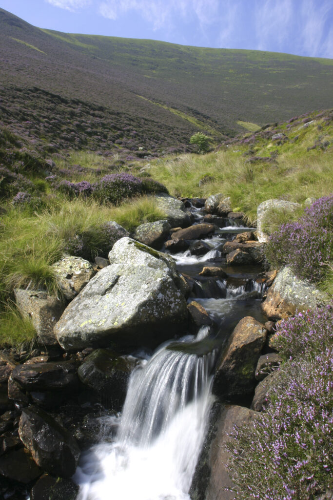 ENGLAND, Cumbria, Lake District National Park. Grainsgill Beck running down the moorland of Lingy Hill on the Cumbria Way