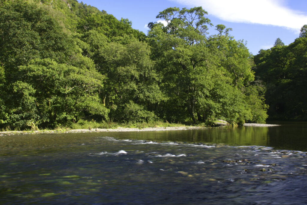 ENGLAND, Cumbria, Lake District National Park. The River Derwent running from derwentwater to borrowdale near dalt wood