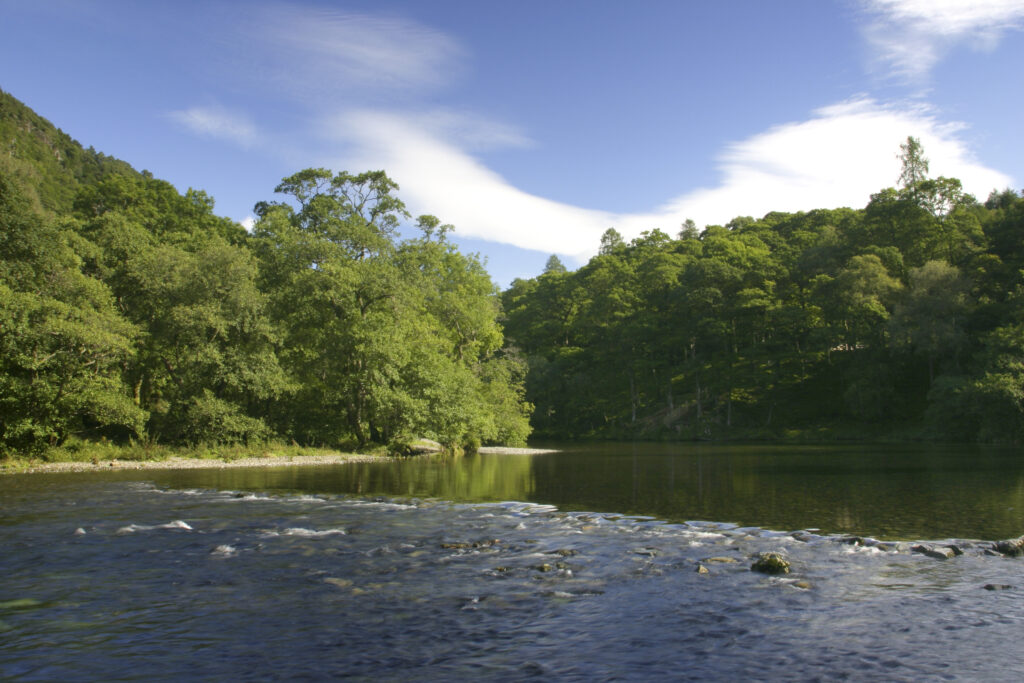 ENGLAND, Cumbria, Lake District National Park. The River Derwent running from derwentwater to borrowdale near dalt wood