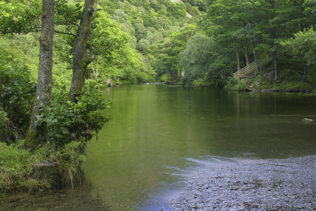 ENGLAND, Cumbria, Lake District National Park. The River Derwent running from derwentwater to borrowdale near dalt wood