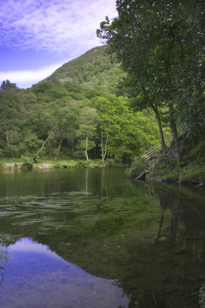 ENGLAND, Cumbria, Lake District National Park. The River Derwent running from derwentwater to borrowdale near dalt wood