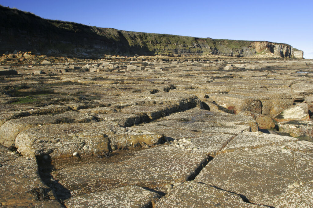 ENGLAND, Tyne & Wear, Whitley Bay. The rocky north tyneside coastline to be found north of the town