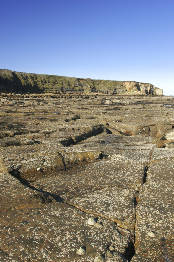 ENGLAND, Tyne & Wear, Whitley Bay. The rocky north tyneside coastline to be found north of the town