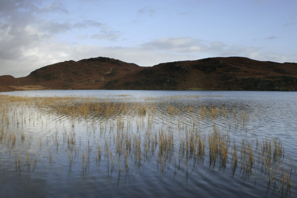 England, Cumbria, Lake District National Park. Lakeland hills reflected in the still waters of Beacon Tarn on cumbria way