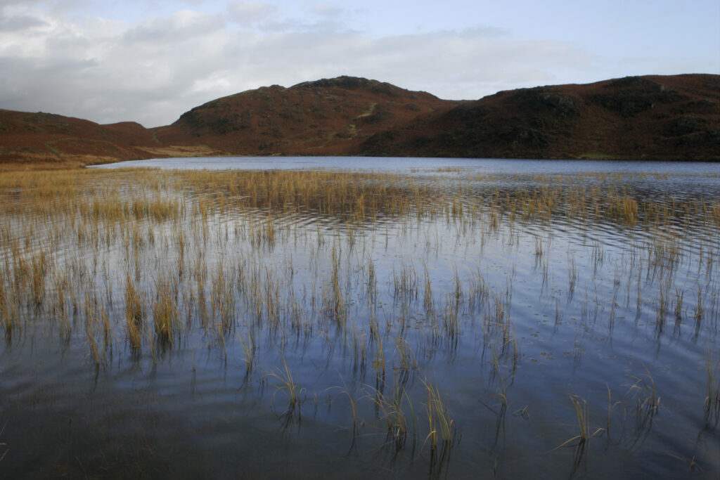 England, Cumbria, Lake District National Park. Lakeland hills reflected in the still waters of Beacon Tarn on cumbria way