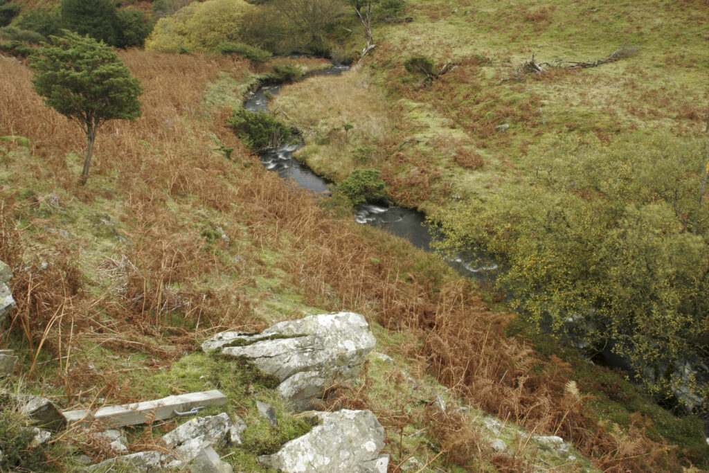ENGLAND, Cumbria, Lake District National Park. Mere Beck running towards Lake Coniston through Torver Common on Cumbria Way