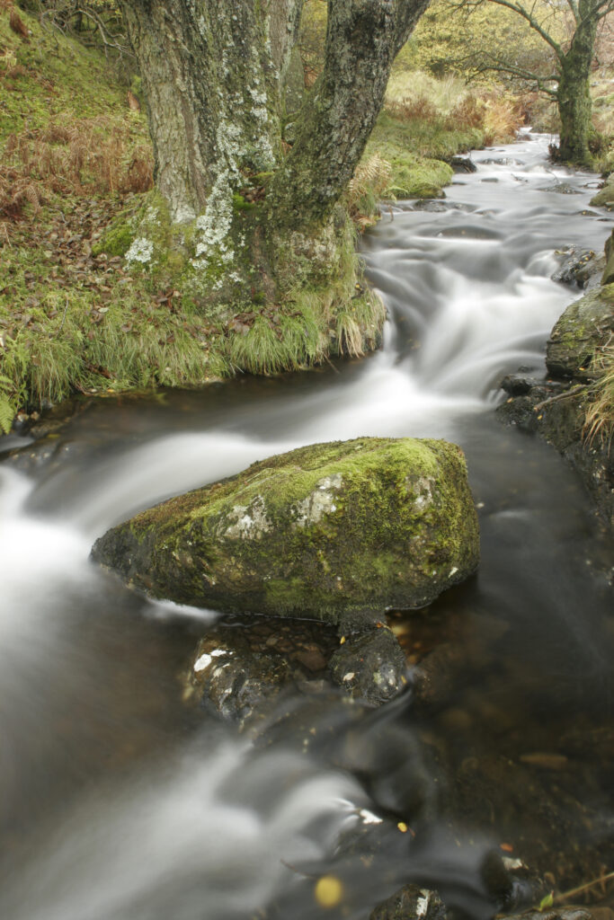 ENGLAND, Cumbria, Lake District National Park. Mere Beck running towards Lake Coniston through Torver Common on Cumbria Way