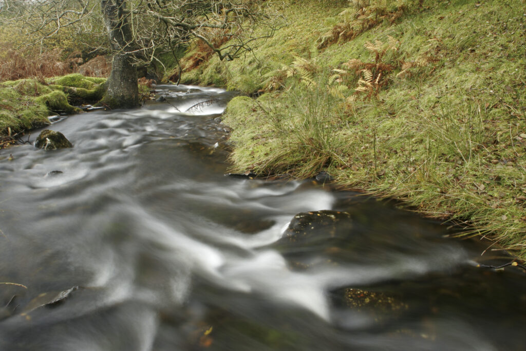 ENGLAND, Cumbria, Lake District National Park. Mere Beck running towards Lake Coniston through Torver Common on Cumbria Way