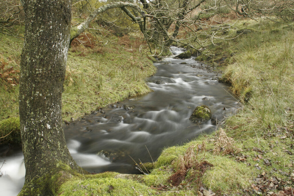 ENGLAND, Cumbria, Lake District National Park. Mere Beck running towards Lake Coniston through Torver Common on Cumbria Way