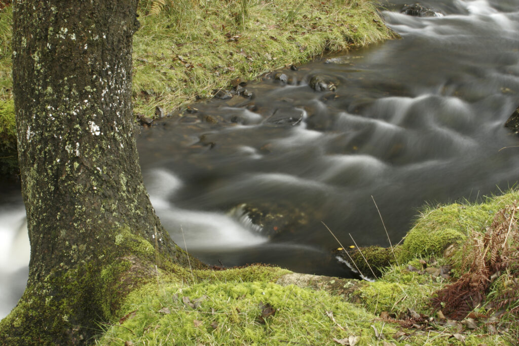 ENGLAND, Cumbria, Lake District National Park. Mere Beck running towards Lake Coniston through Torver Common on Cumbria Way