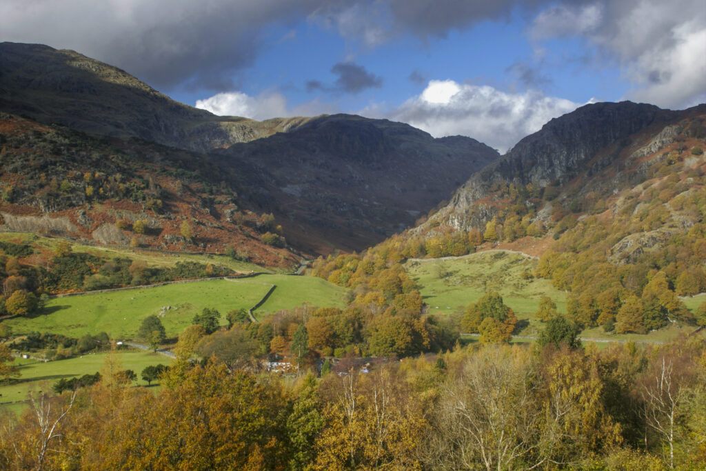 England, Cumbria, Lake District National Park. looking from Cumbria way track near Tarn Hows wood towards Yewdale and holme fell