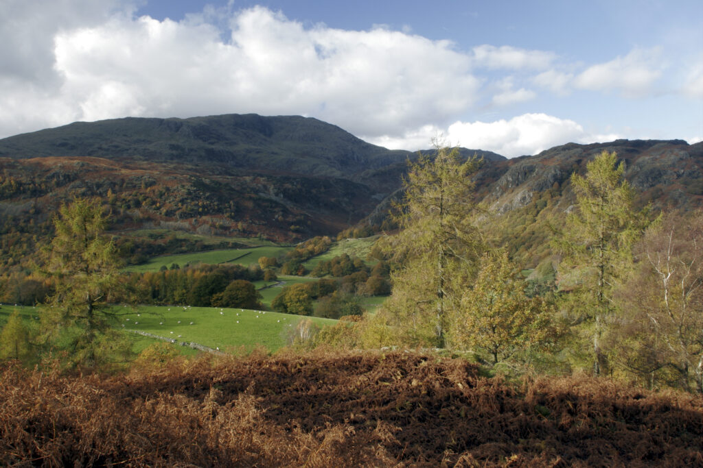 England Cumbria Lake District National Park Sunshine illuminates the moors and woodland near to Tarn Hows on Cumbria way