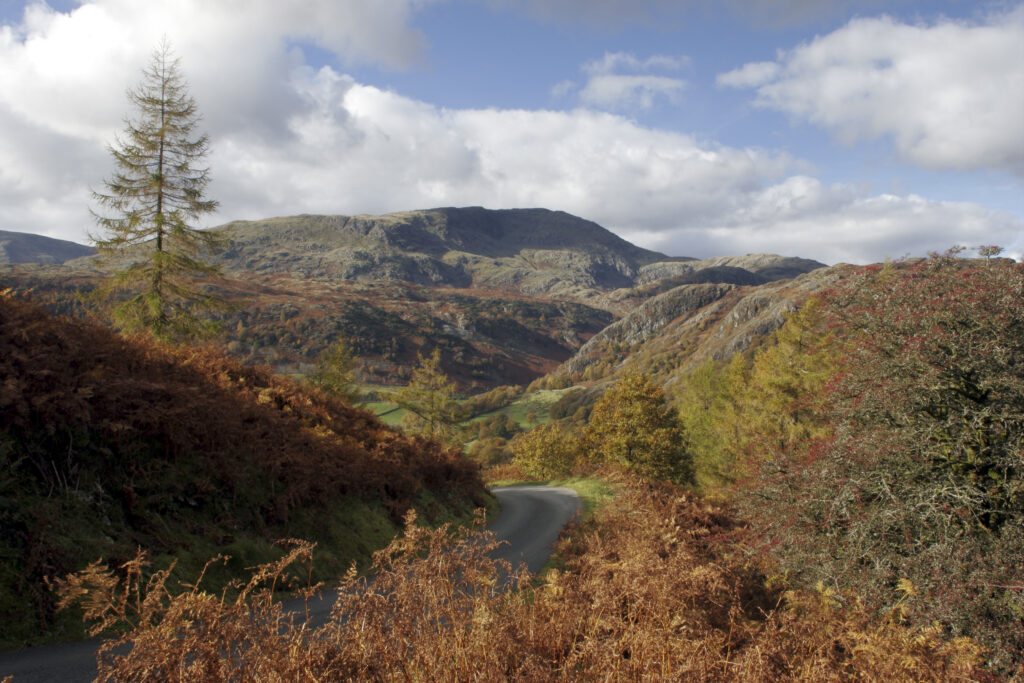 England Cumbria Lake District National Park Sunshine illuminates the moors and woodland near to Tarn Hows on Cumbria way