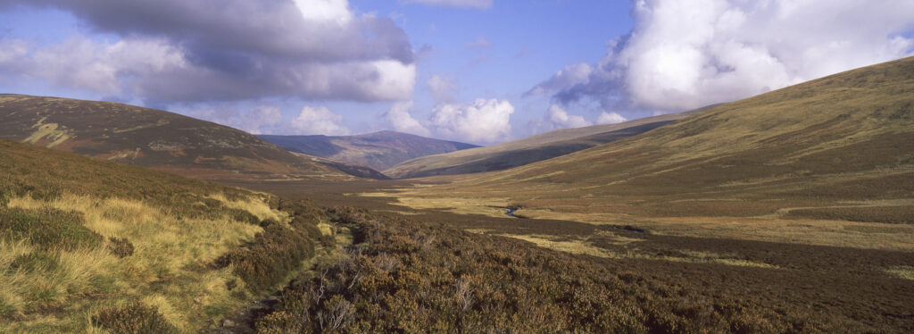 ENGLAND, Cumbria, Lake District National Park. The Cumbria Way track heads north towards Lingy Hill, through the autumn colours of the surrounding moorland and hills.