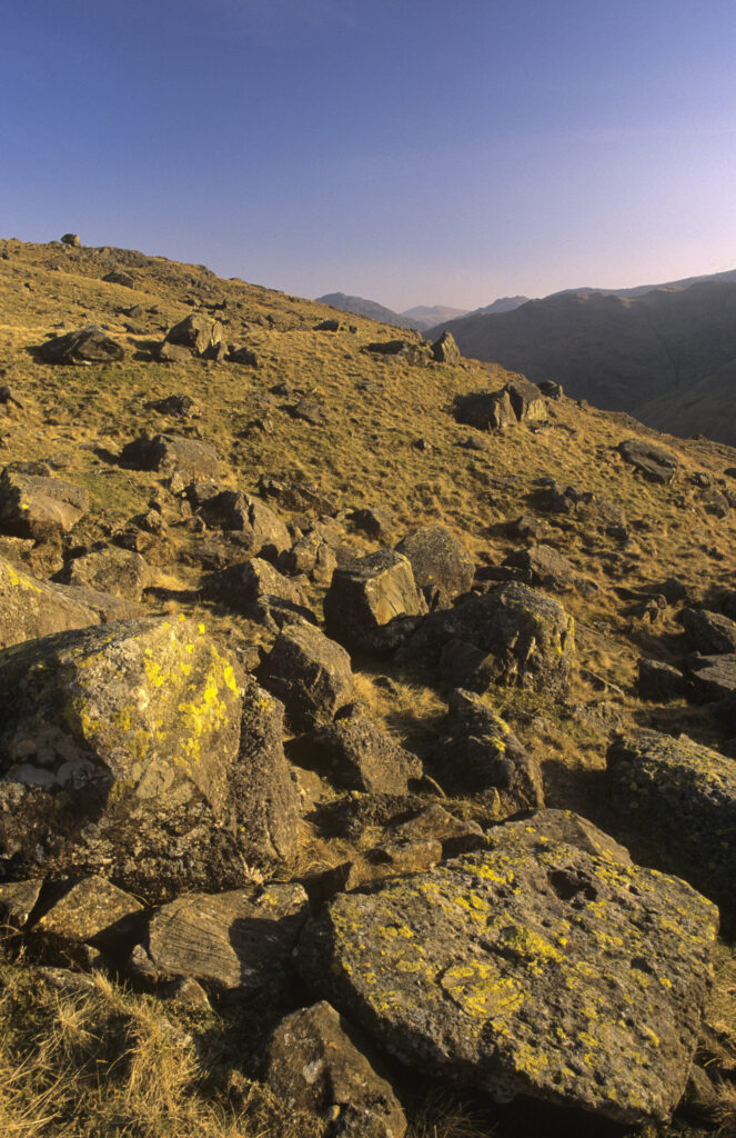 ENGLAND, Cumbria, Lake District National Park. Late afternoon light illuminates the lichen covered rocks of Martcrag Moor, on the 'Cumbria Way'