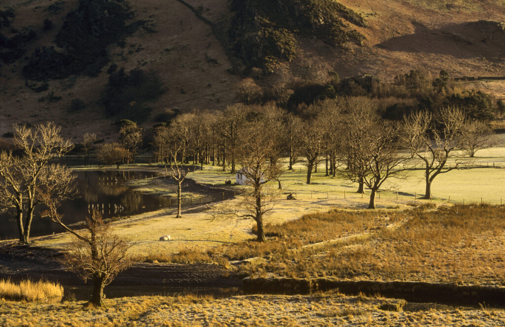 ENGLAND, Cumbria, Lake District National Park. Soft light illuminates a lonely cottage on the banks of Lake Buttermere, at Peggy's Bridge.