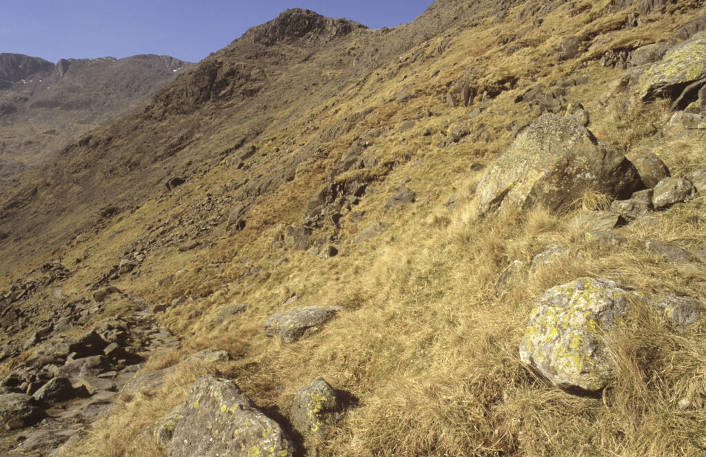 ENGLAND, Cumbria, Lake District National Park. Early morning light illuminates the lichen-covered rocks of Langdale fell, on the Cumbria Way.