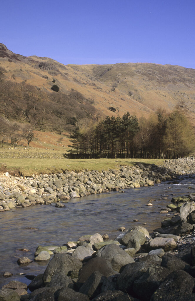 ENGLAND, Cumbria, Lake District National Park. The running waters of Stonethwaite beck, with the spring landscape of Stonethwaite fell in the distance.