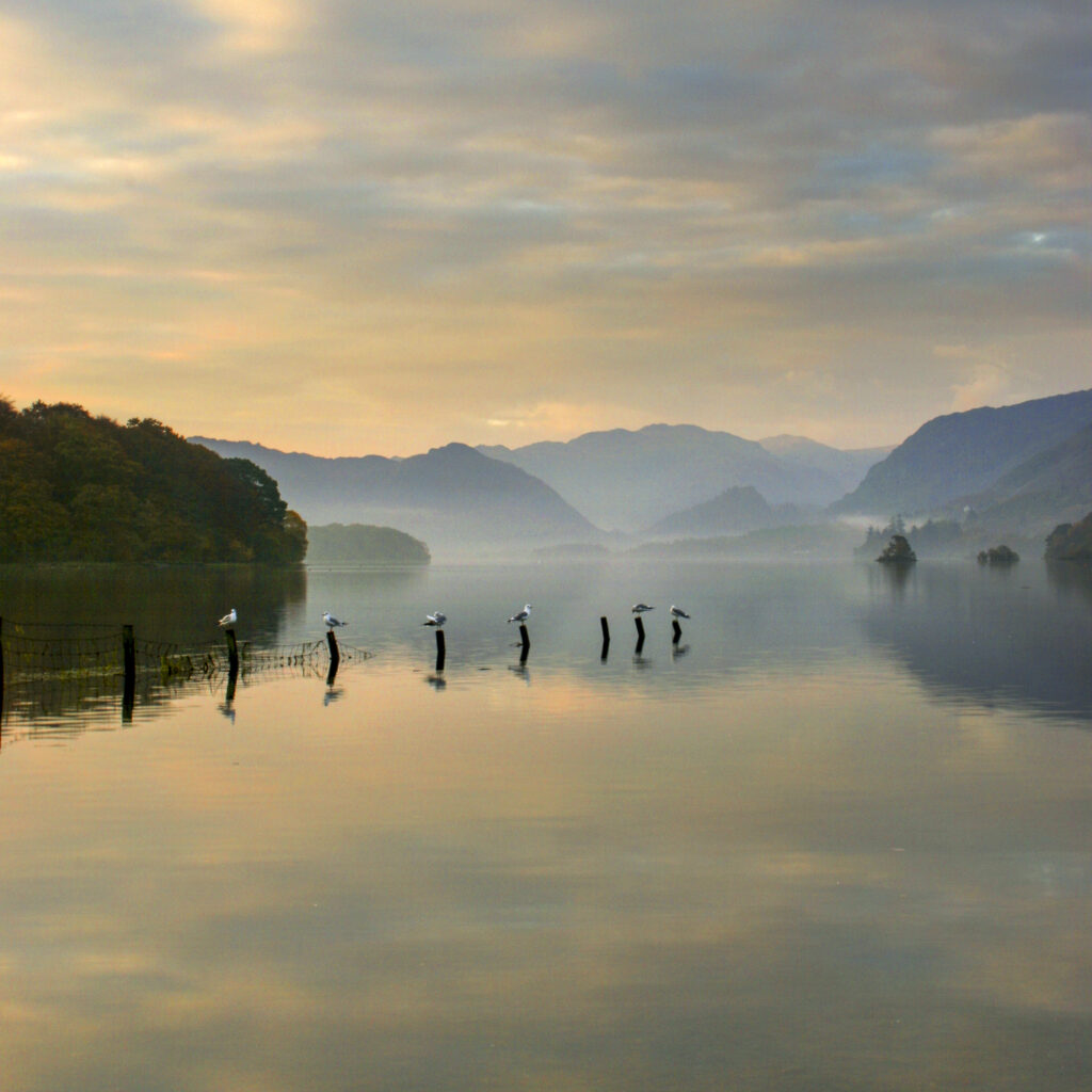 ENGLAND Cumbria Lake District National Park The pastel colours of dawn reflected in the still waters of Derwentwater