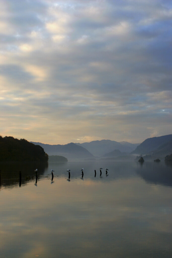 ENGLAND Cumbria Lake District National Park The pastel colours of dawn reflected in the still waters of Derwentwater