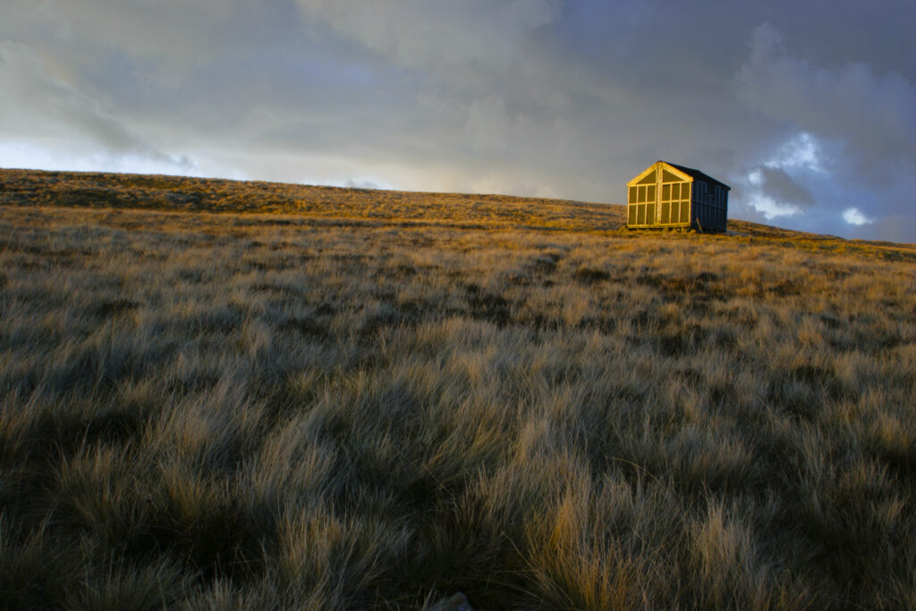 ENGLAND, Cumbria, Lake District National Park. The soft hues of a sunset illuminate Lingy Hut on Caldbeck common