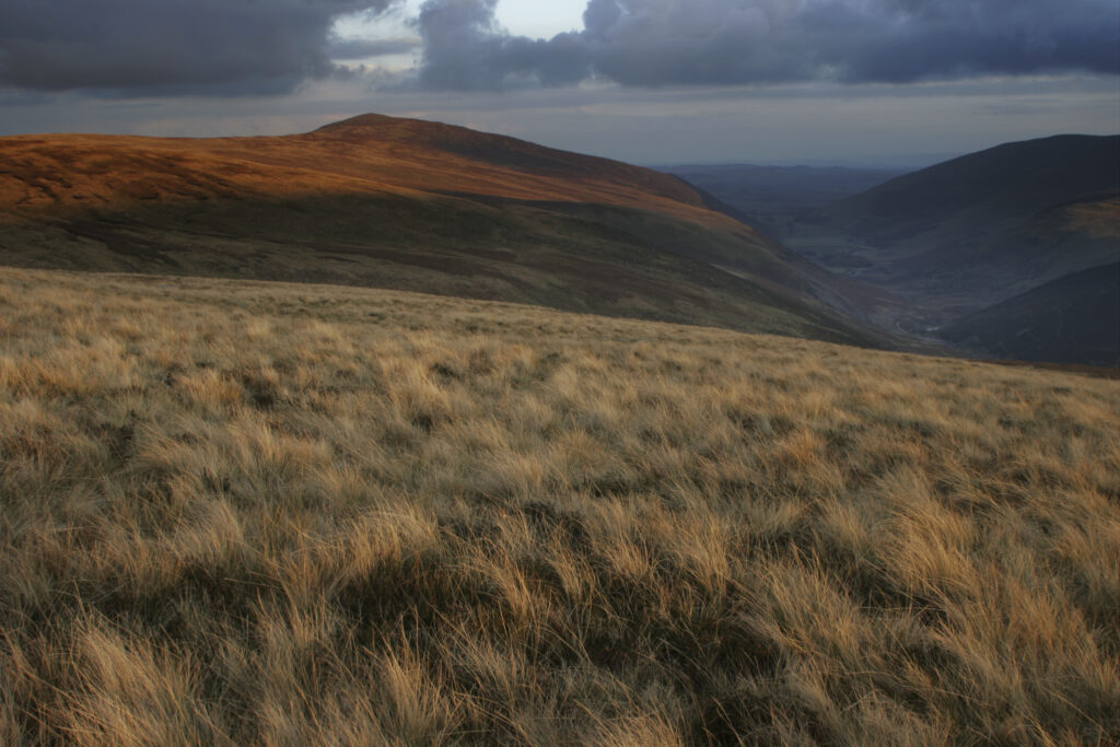 ENGLAND, Cumbria, Lake District National Park. The soft hues of a sunset illuminate the hills of Caldbeck common