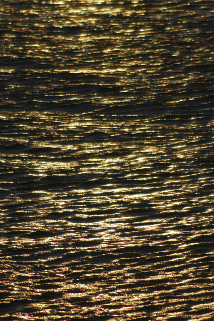 England, Tyne and Wear, Seaburn. The rising sun reflected in the waves of the North Sea.