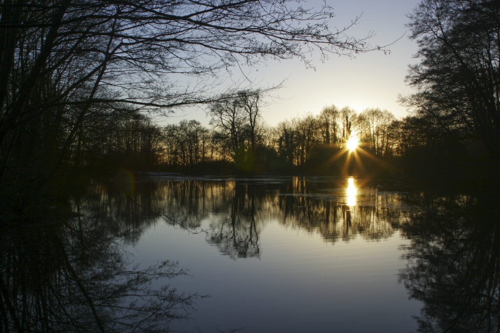 ENGLAND West Midlands Baggeridge Country Park A winter sunset behind the tree clad banks of one of the parks lakes