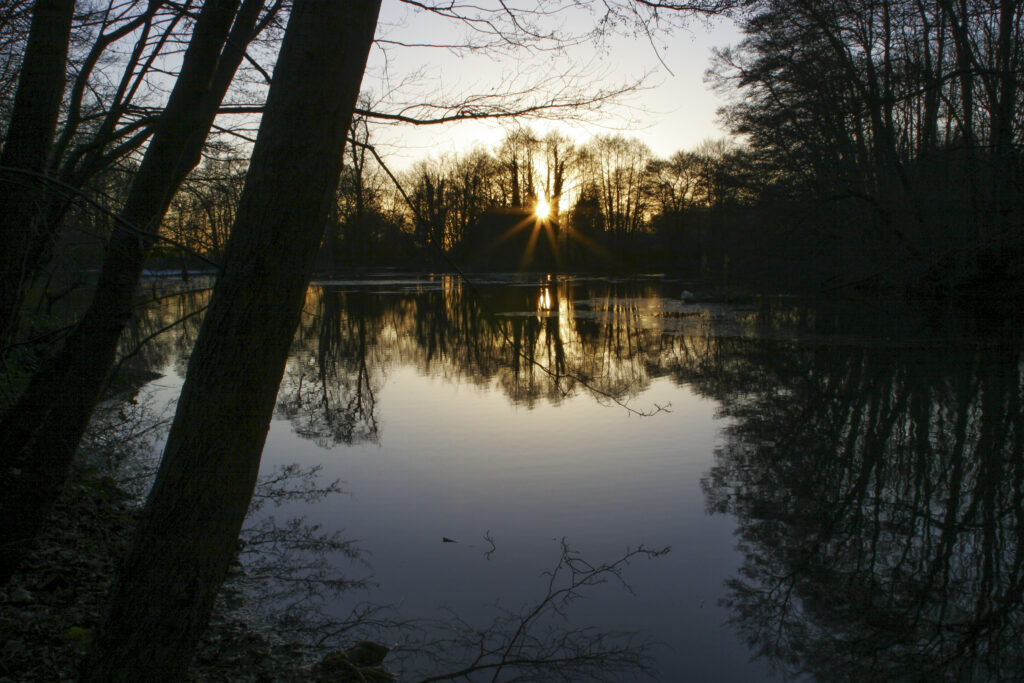 ENGLAND West Midlands Baggeridge Country Park A winter sunset behind the tree clad banks of one of the parks lakes