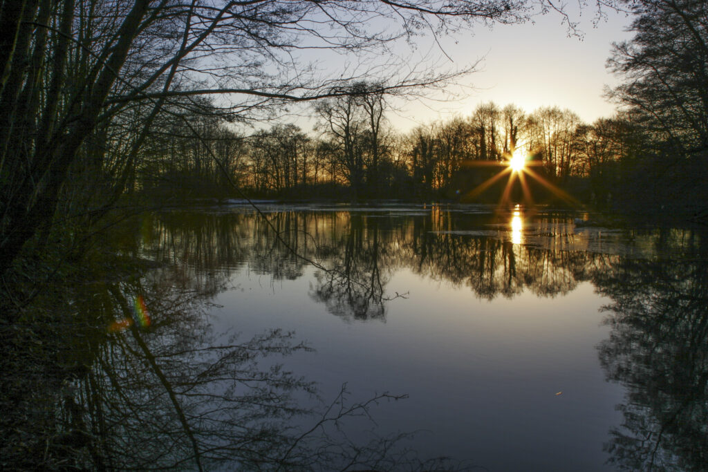 ENGLAND West Midlands Baggeridge Country Park A winter sunset behind the tree clad banks of one of the parks lakes