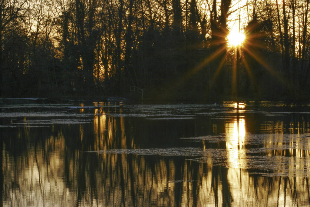 ENGLAND West Midlands Baggeridge Country Park A winter sunset behind the tree clad banks of one of the parks lakes