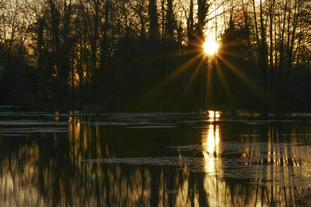 ENGLAND West Midlands Baggeridge Country Park A winter sunset behind the tree clad banks of one of the parks lakes